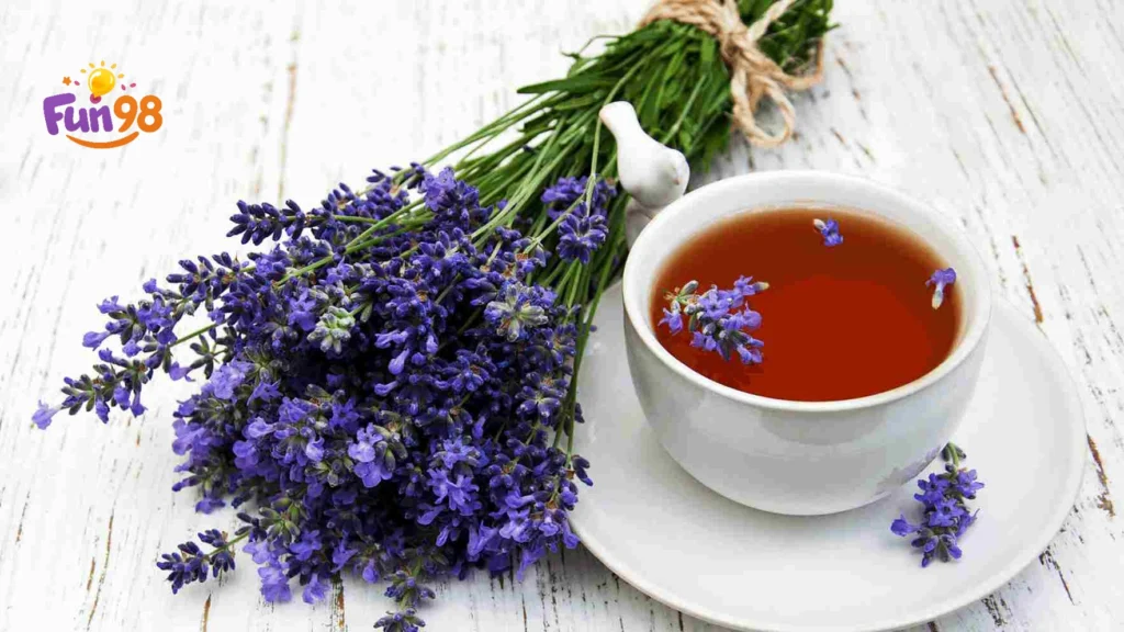 دمنوش های گیاهی آرامبخش