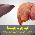کبد چرب چیست