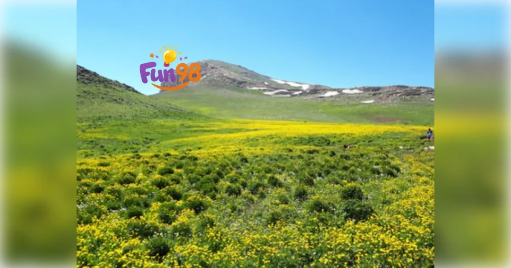 نمایی از دشت وسیع ییلاق لپاسر رامسر