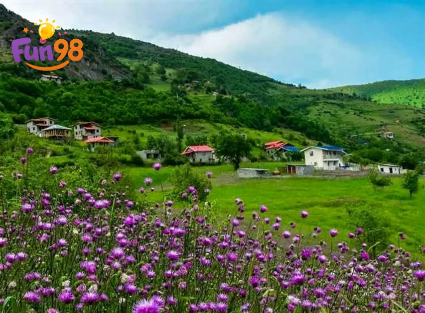 ییلاق لپاسر رامسر؛ راهنمای کامل مسیر، کمپ و دیدنیها