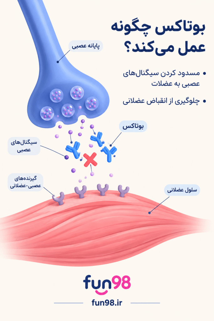 بوتاکس چگونه عمل می‌کند